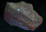 Agatized Dinosaur Bone - Polished Faces #7234-4